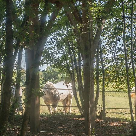 Villa Bois Des Nauzes Seyches Esterno foto