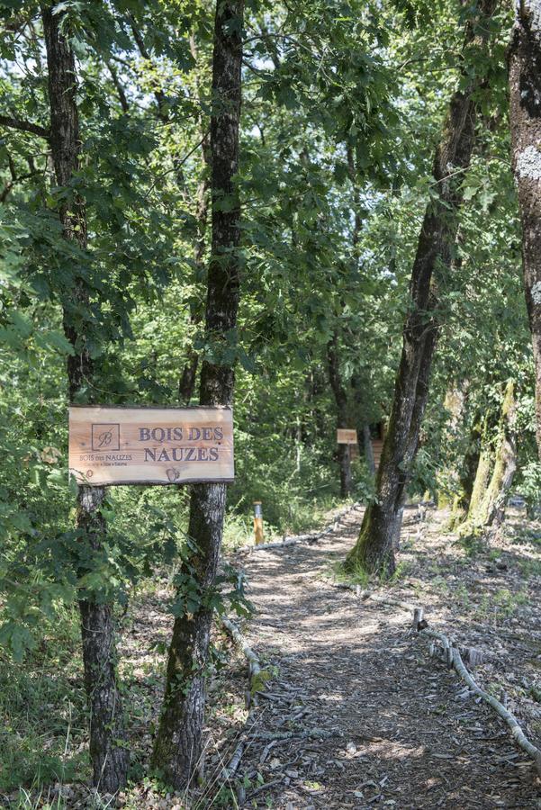Villa Bois Des Nauzes Seyches Esterno foto